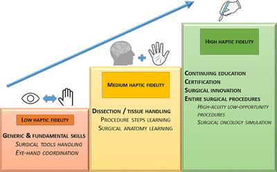 Frontiers | Haptic Fidelity: The Game Changer In Surgical Simulators ...